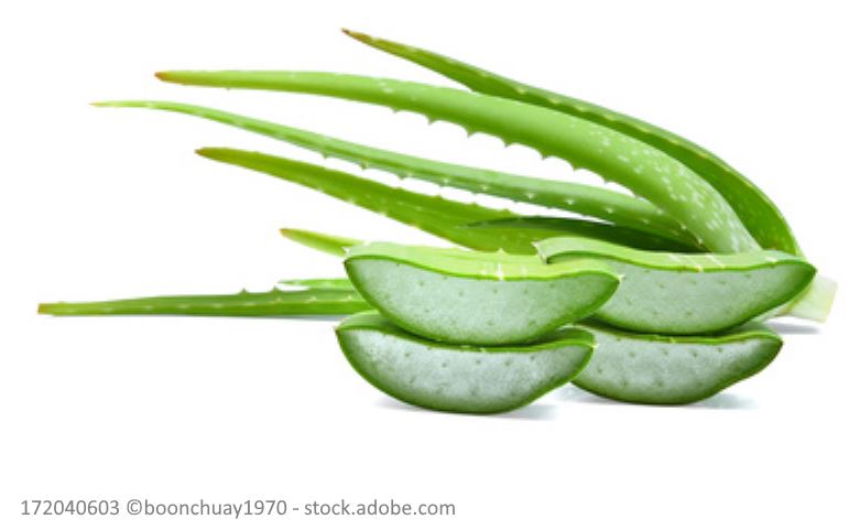 2019-11-01 11_57_33-Fotolia_172040603_XS
